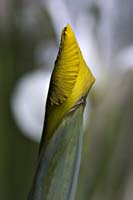 CRW_1160