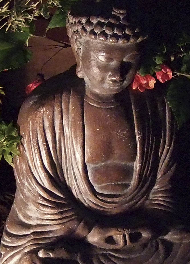 DSCF1090fp