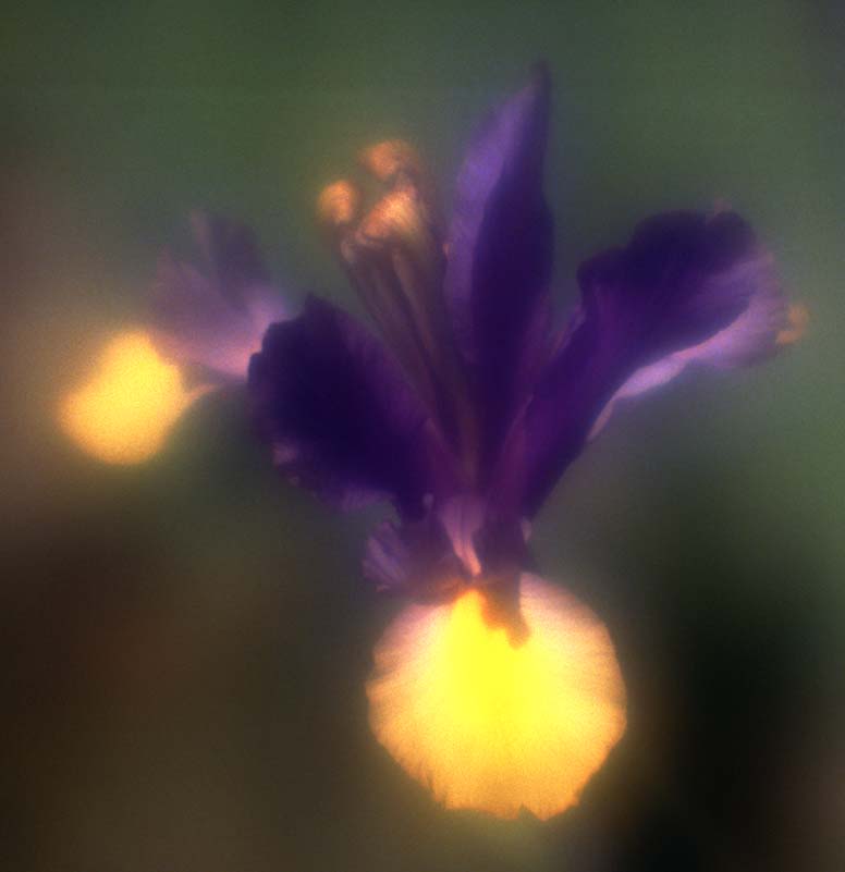 24__0113a