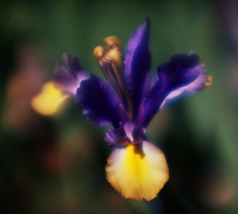 25__0114